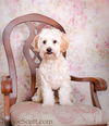 Angie