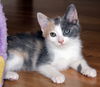 Molly