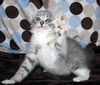 Mayzie