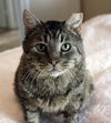 Mr. Friendly