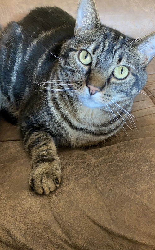 Murphy