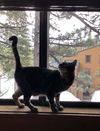 Murphy