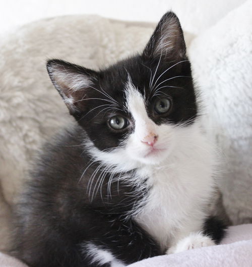 Minnie