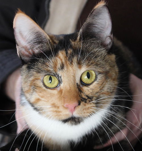 Rita