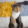 Rita