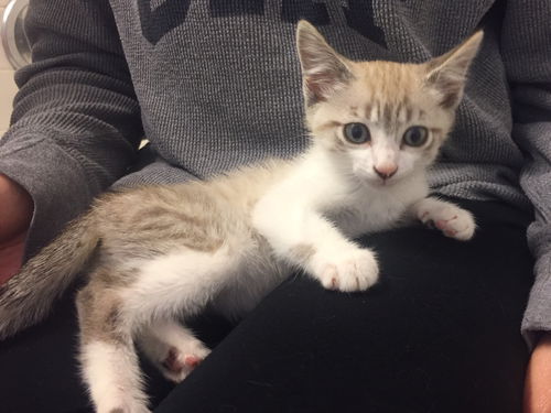 Mia