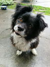 Tucker