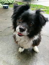 Tucker