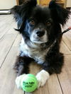 Tucker