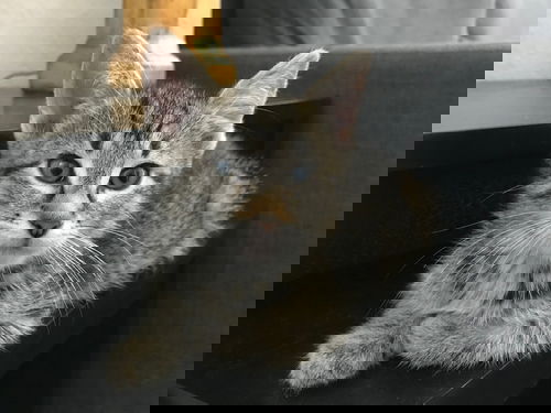 Crystal