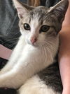 Rosie
