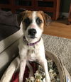 Ginny
