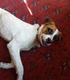 Ginny
