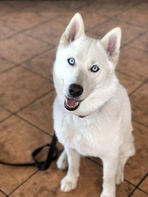 Lucy