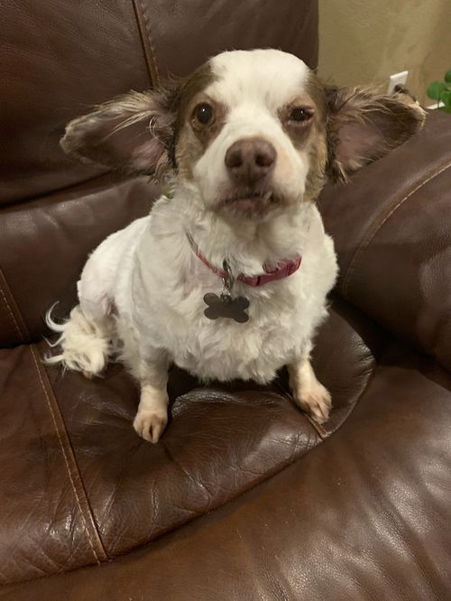 Minnie