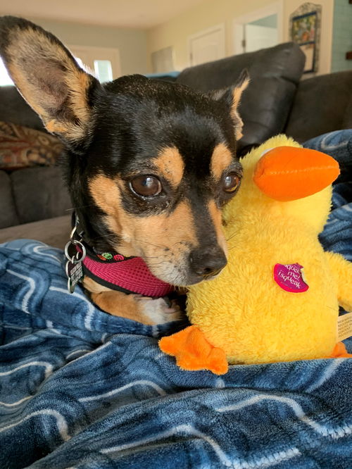 Sophie