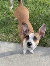 Lola