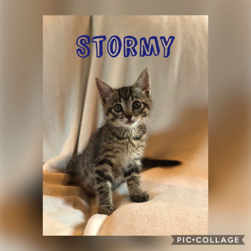 Stormy