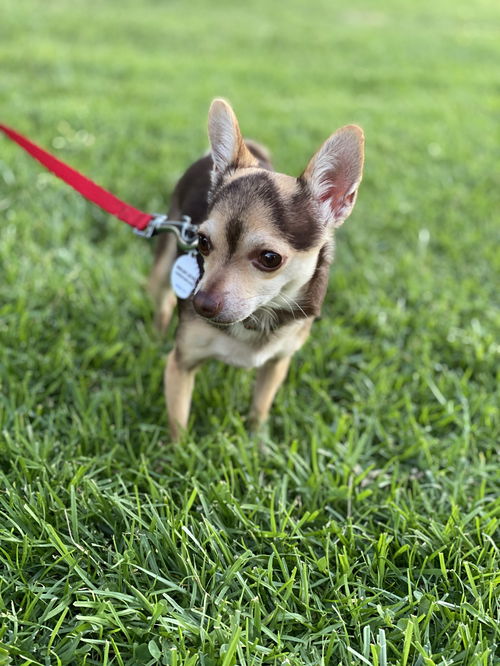 Tiny