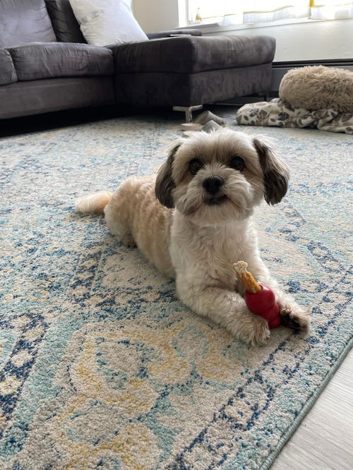 Oscar
