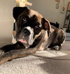 Kiya