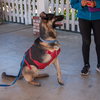 Milo - Photo 5