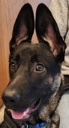 Coco