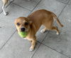 Tinkerbell
