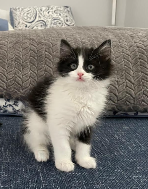 Charlie