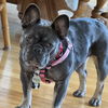 Eloise