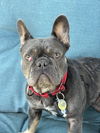 Eloise