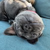 Eloise