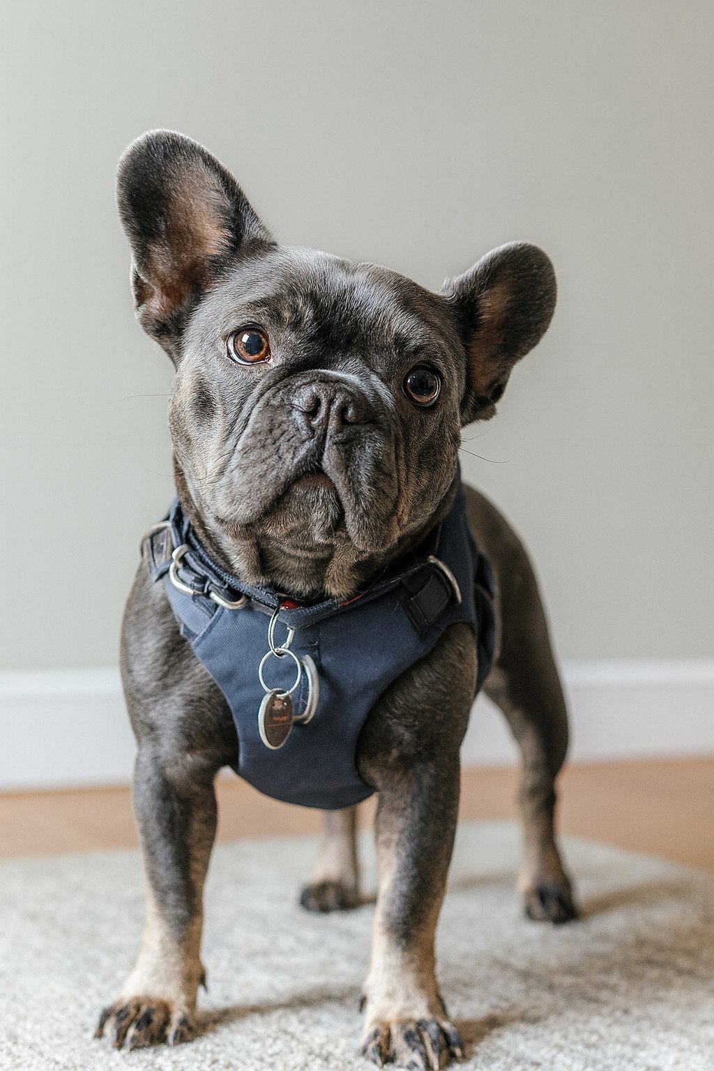 Eloise