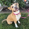 Nilla - Photo 3