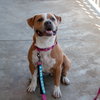 Nilla - Photo 5