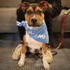 Bruno - COURTESY - Photo 5