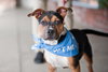 Bruno - COURTESY - Photo 4