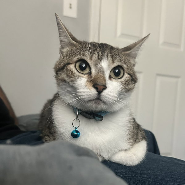 Edna