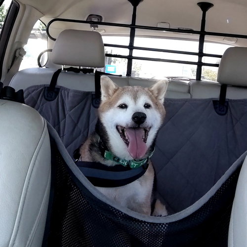 Kuma photo 3