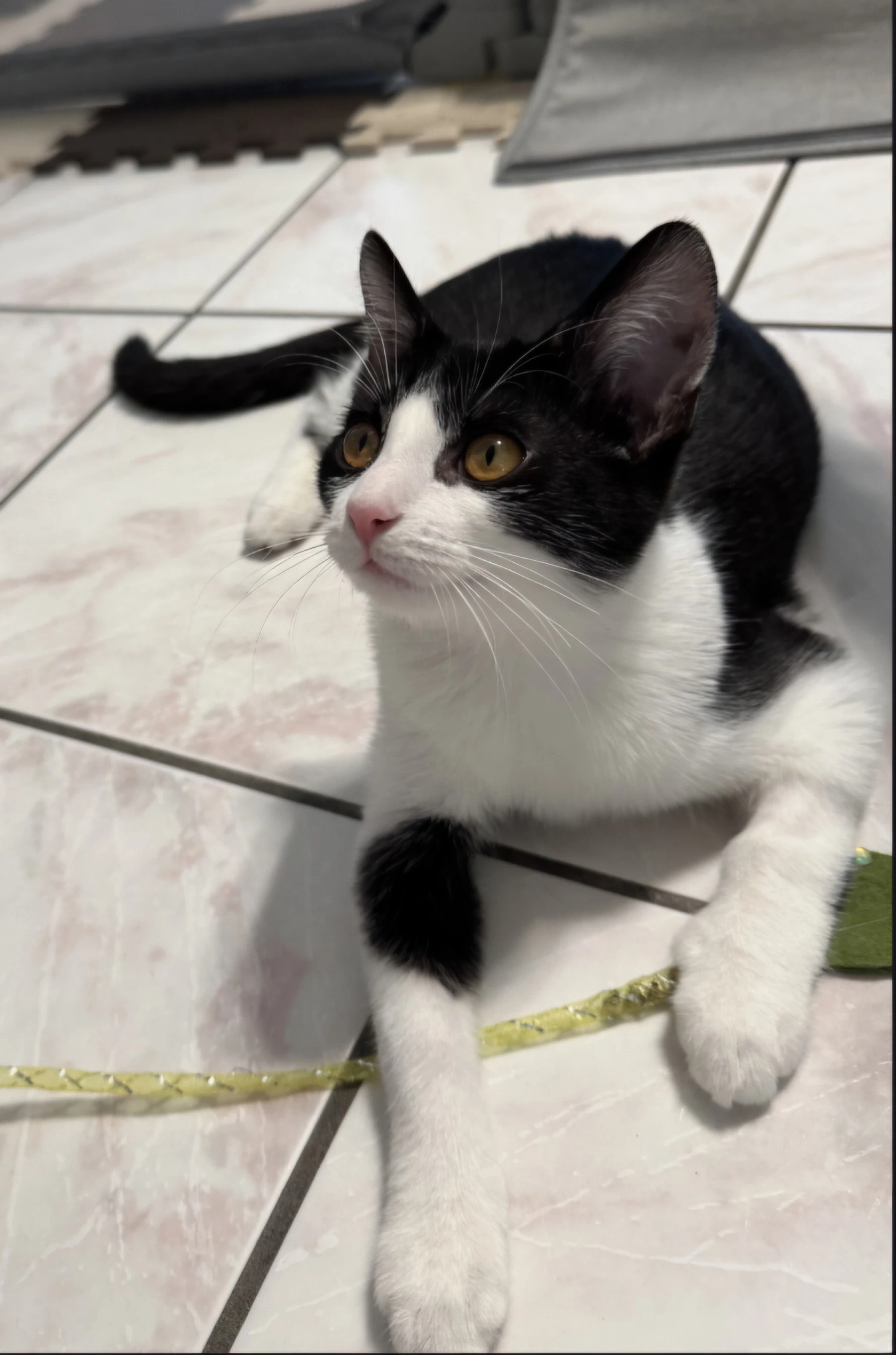 Mei Lee