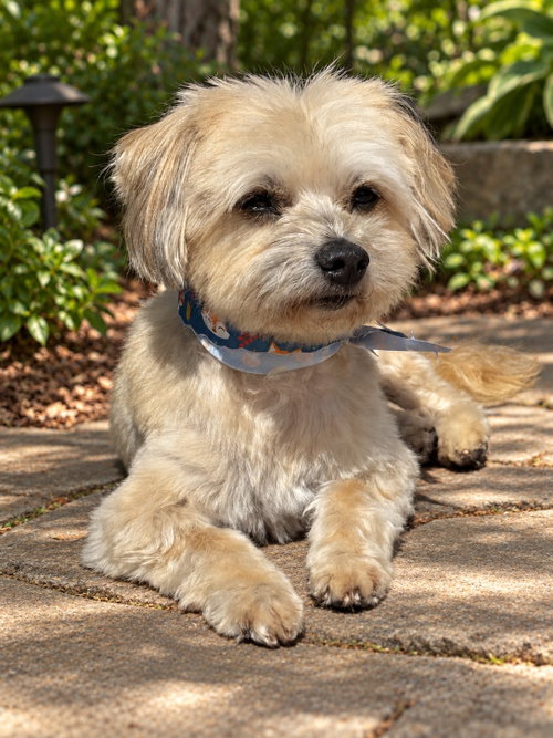 Photo 2 of Brody