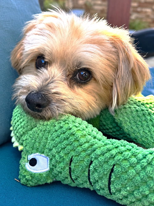 Photo 3 of Brody