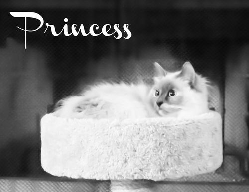 Princess