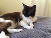 Libby