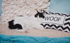 Moose