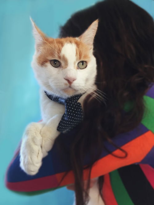 Simon