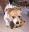 Rusty