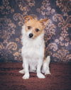 Rusty