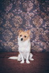 Rusty