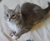 Sweet Perlina